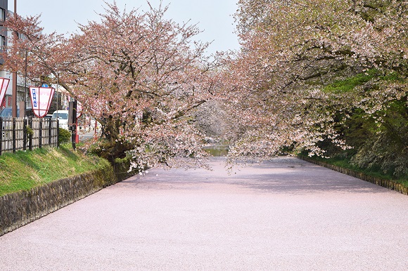 公園など外出先でスマホを使ってレッスンを受ける