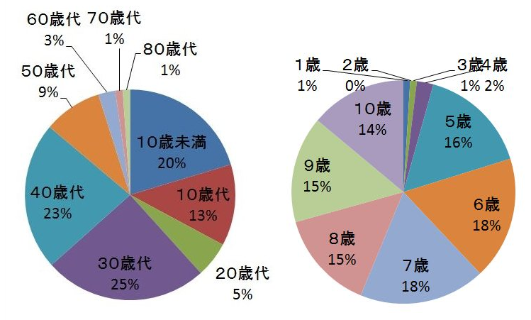 年齢層